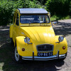 16 lindetreffen