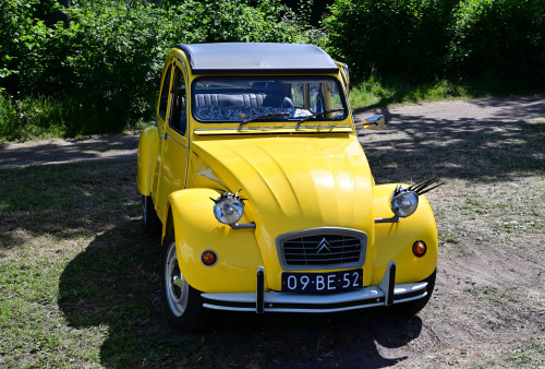 16 lindetreffen