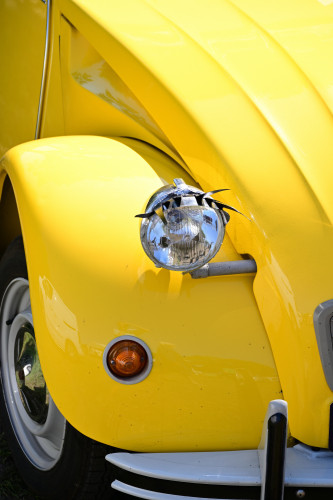 16 lindetreffen
