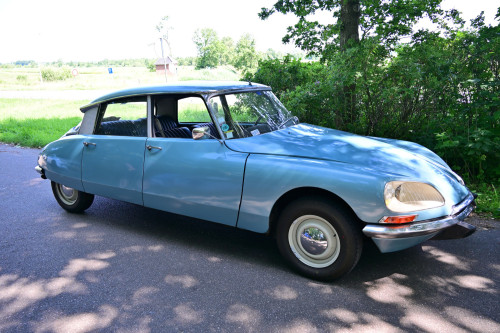 16 lindetreffen