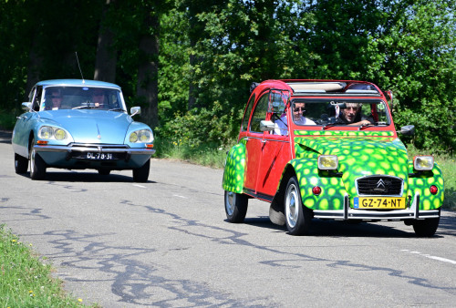 16 lindetreffen