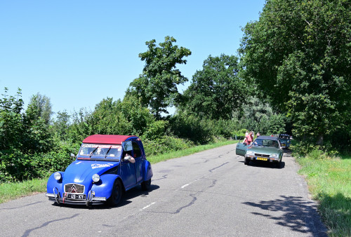 16 lindetreffen