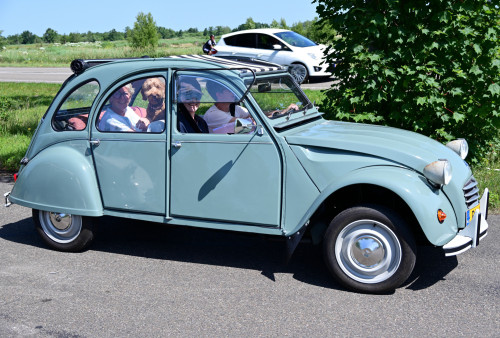 16 lindetreffen