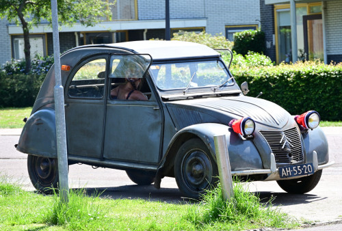 16 lindetreffen