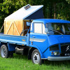 16 lindetreffen