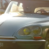 16 lindetreffen