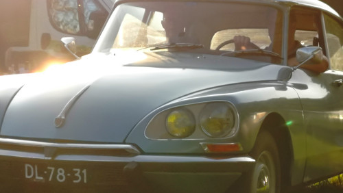 16 lindetreffen