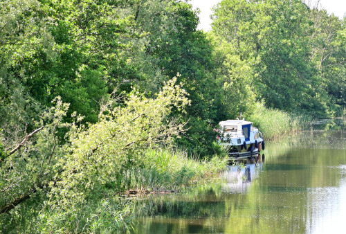 16 lindetreffen
